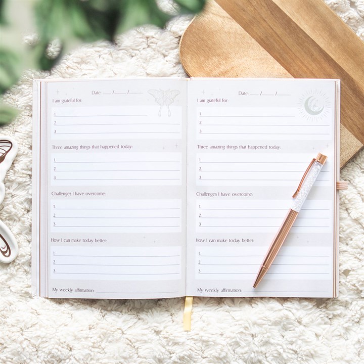 Daily Reflections Jornal